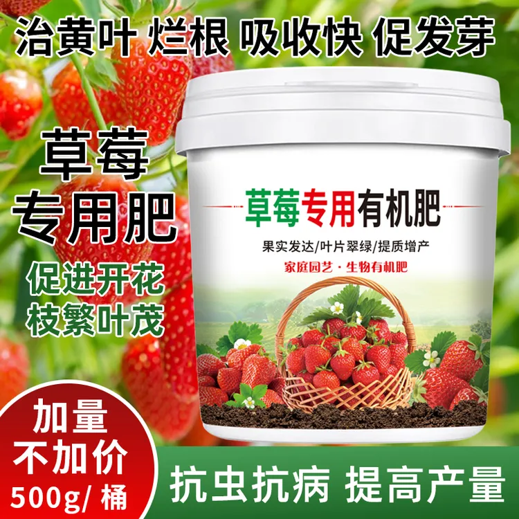 草莓专用肥阳台种植促高产不伤根治黄叶促生长营养颗粒有机肥料