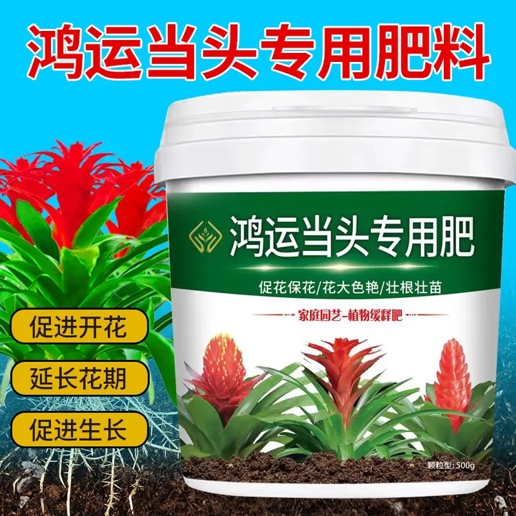 鸿运当头专用肥促进生长壮苗缓释颗粒有机肥补充氮磷钾均衡营养肥
