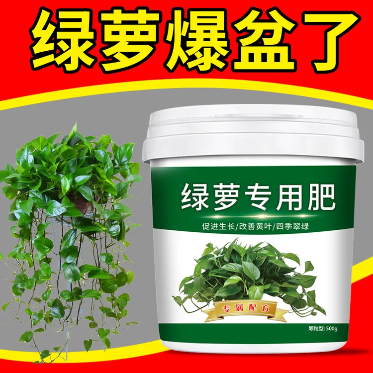 绿萝爆盆专用营养颗粒缓释水溶肥料不伤根不烧根治黄叶枯叶促生长