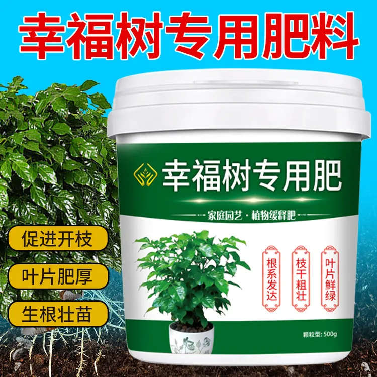 【幸福树专用花肥】治黄叶枝繁叶茂活化土壤促生根营养颗粒缓释肥