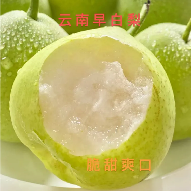 云南高原早白密酥梨小蜜梨脆甜多汁纯甜非火现采现摘发货产地直发
