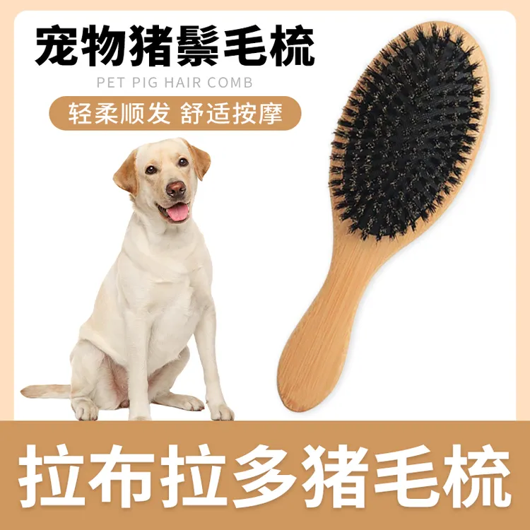 拉布拉多专用猪鬃毛刷狗狗梳子狗毛清理器去浮毛脱毛开结刷毛