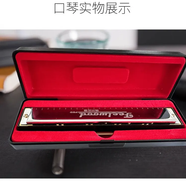 【弗尔伍德】复音口琴24孔C调不锈钢镜面成人初学者演奏FEELWOODPRO