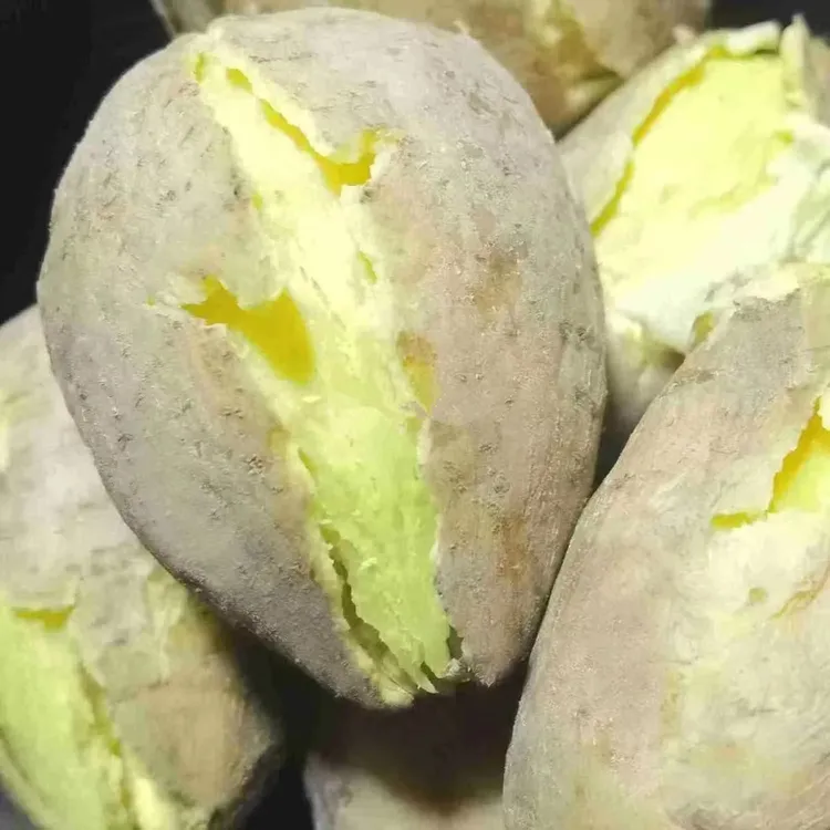 新鲜白皮人参薯黄心板栗薯辅食粉面粗粮地瓜红薯现挖新鲜农家山芋