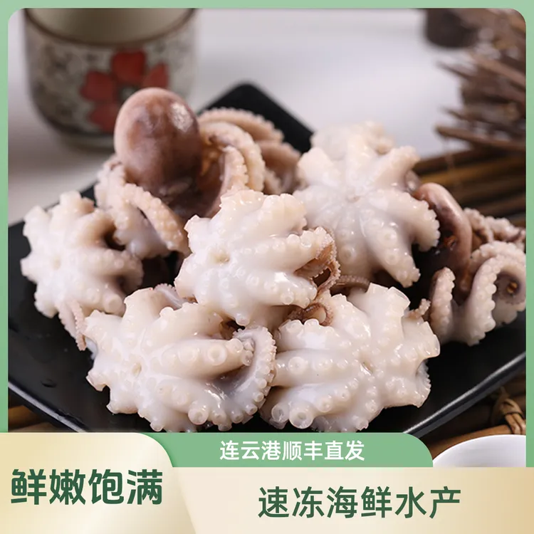 新鲜去内脏去牙齿迷你八爪鱼3斤/包速冻海鲜水产连云港顺丰直发