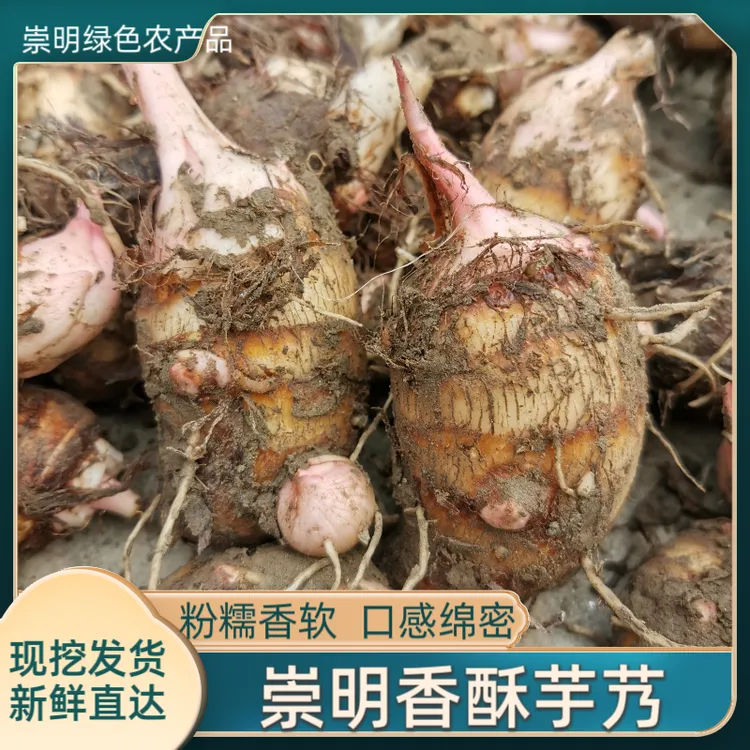 崇明香酥芋艿  上海正宗本地农家自种红梗芋艿粉糯香软现挖发顺丰