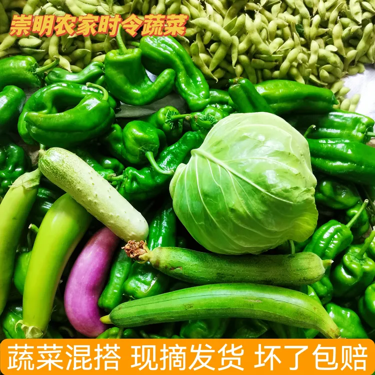 农家菜混搭 崇明本地新鲜蔬菜随机搭配时令蔬菜江浙沪皖顺丰包邮