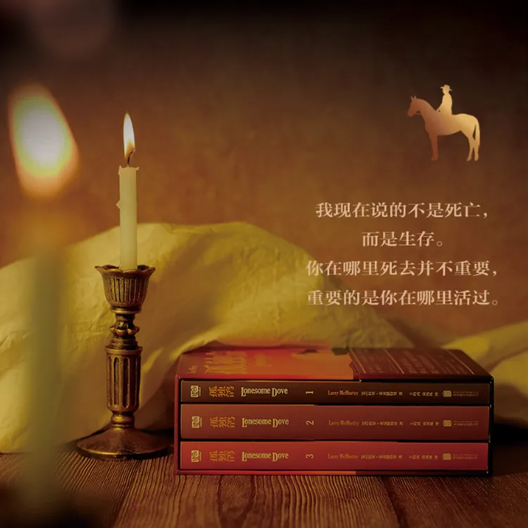 联合读创孤独鸽  普利策奖获奖小说 