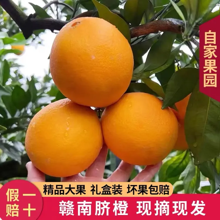 江西正宗赣南脐橙自家果园种植现摘现发孕妇水果有点花皮
