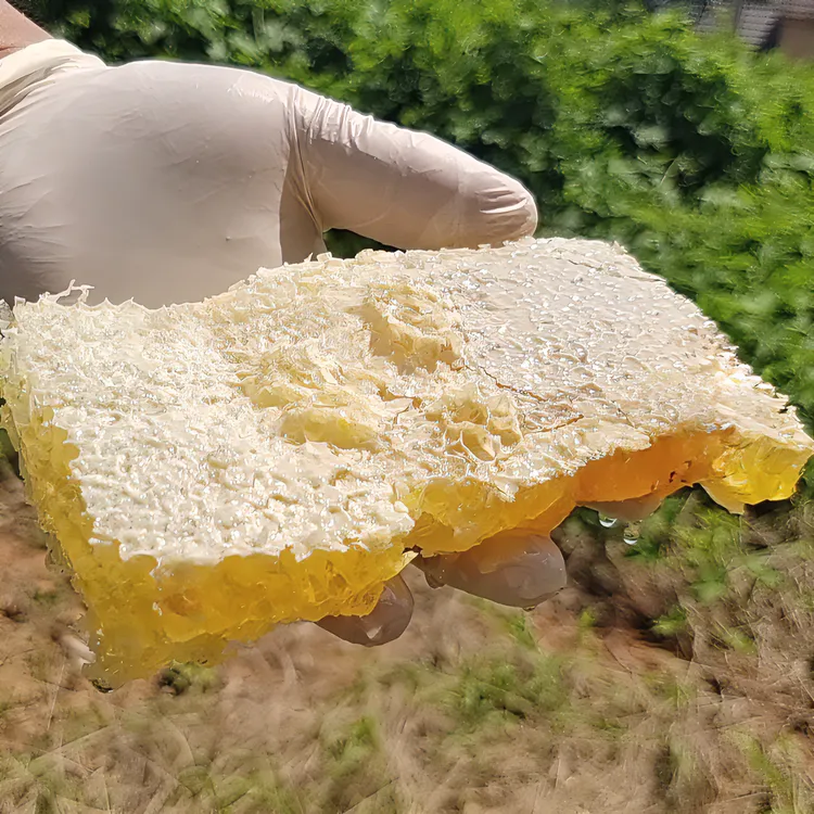 野生中蜂巢蜜,天然蜂蜜,蜂巢直取,无添加,无加工,无压榨!手工