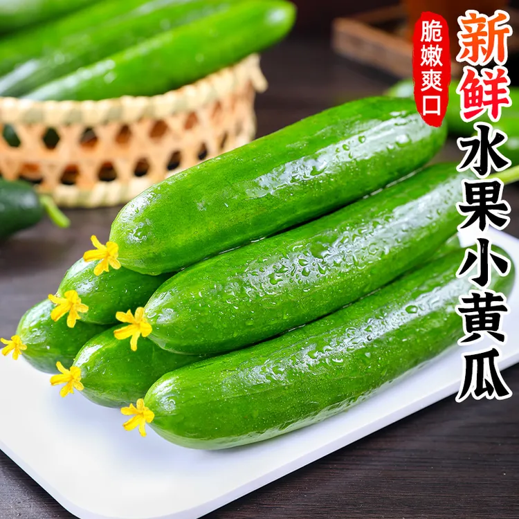 【清脆爽口】新鲜脆嫩生吃水果小黄瓜2-5斤拇指青瓜农家蔬菜腌黄瓜