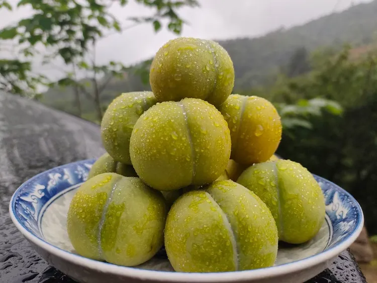 现货四川汶川新鲜李脆甜青脆李蜜四川脱骨脆甜多汁现发