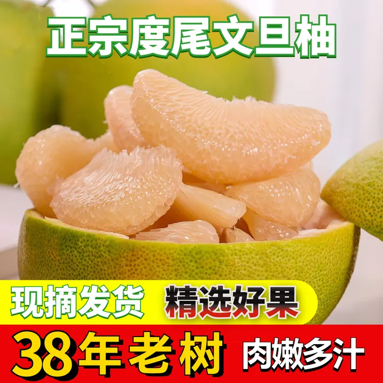 度尾红心文旦柚老树精选果新鲜当季孕妇时令水果香甜多汁