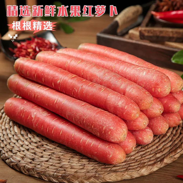 沙地红萝卜陕西脆甜新鲜蔬菜原产地直发带泥现挖水果红萝卜胡萝卜