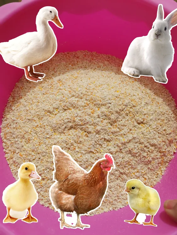 农家现磨玉米粉玉米渣碎粉喂鸡鹌鹑喂小鸟钓鱼窝料狗粮玉米面包邮