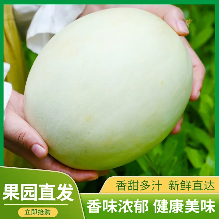 我是不白吃｜自营山东玉菇甜瓜甄选优质果实冰淇淋口感当季水果