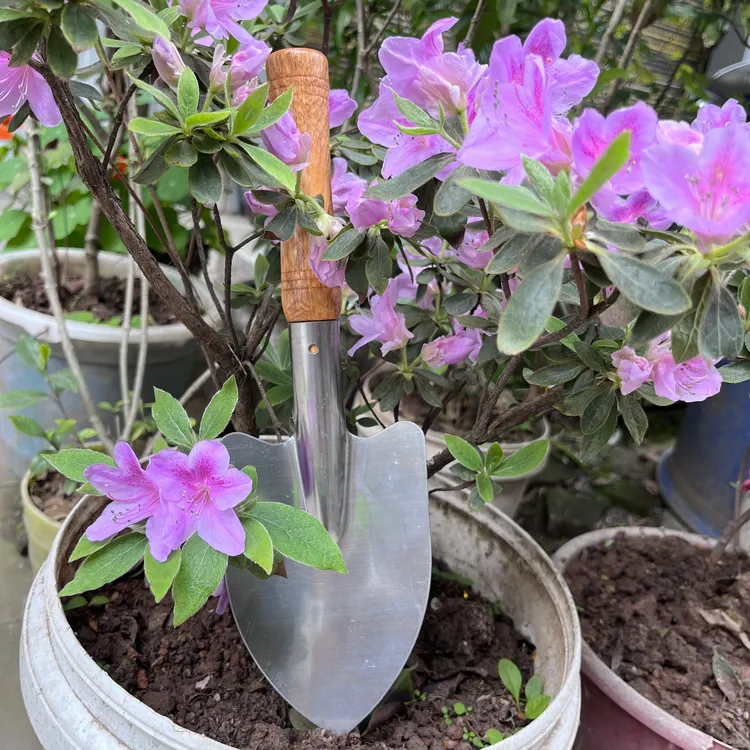 栽花小铲子不锈钢园艺工具松土种花大号农用家用加厚沙滩铲土养花