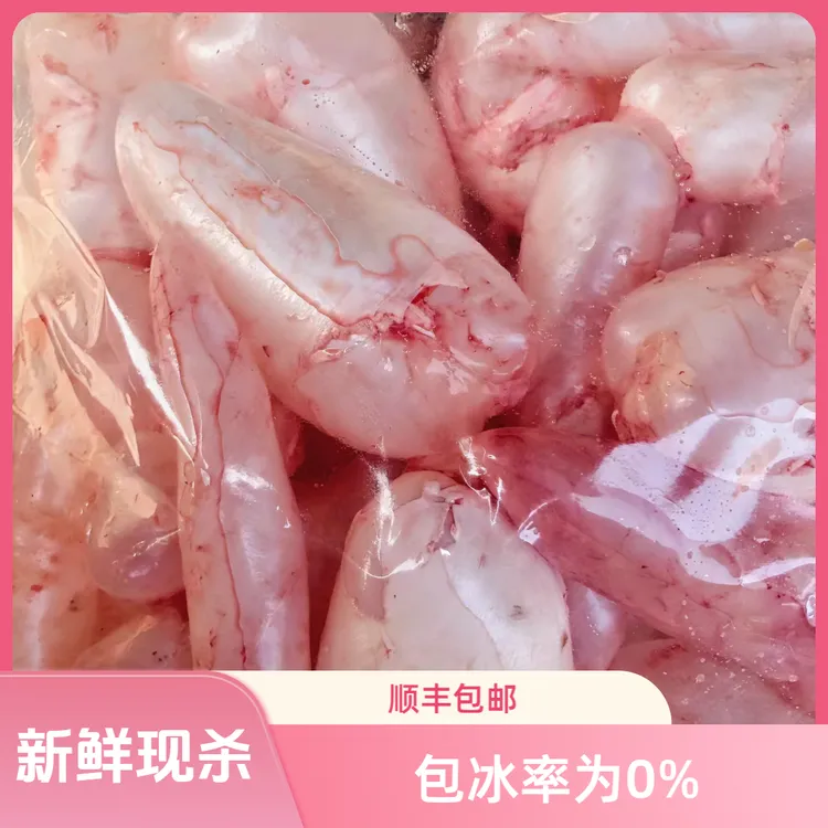 【顺丰冷运】胖妹现杀新鲜鱼泡泡白鲢泡草鱼泡新鲜鱼胶鱼泡鱼鳔食用