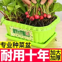 专业种菜盆耐用十年环保塑料加大加厚室内外蔬菜盆栽土培盆带托盘