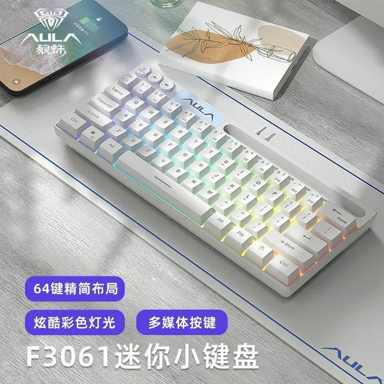 狼蛛F3061便携小巧有线mini小键盘RGB背光键盘办公游戏键盘简约