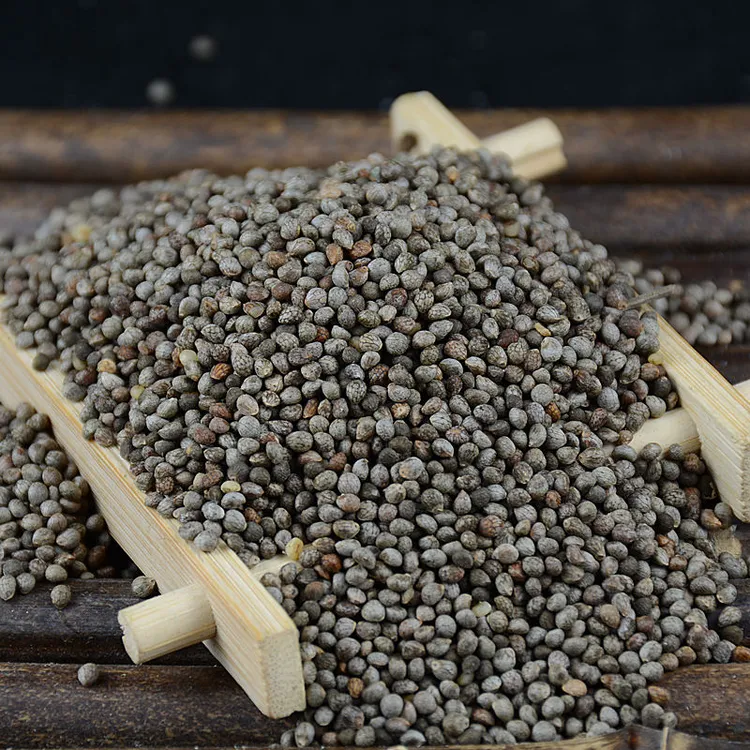 贵州特产农家新酥麻籽油性苏子酥麻黑苏麻引子糖汤圆陷原料苏麻籽