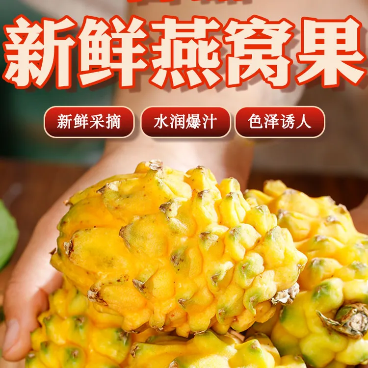 【顺丰包邮】海南正宗麒麟燕窝果当天采摘当天发货鲜甜多汁礼盒装