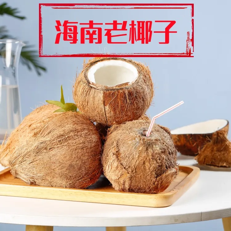 海南椰子椰青热带水果毛椰老椰子包邮椰子汁水椰皇1个2个4个装新