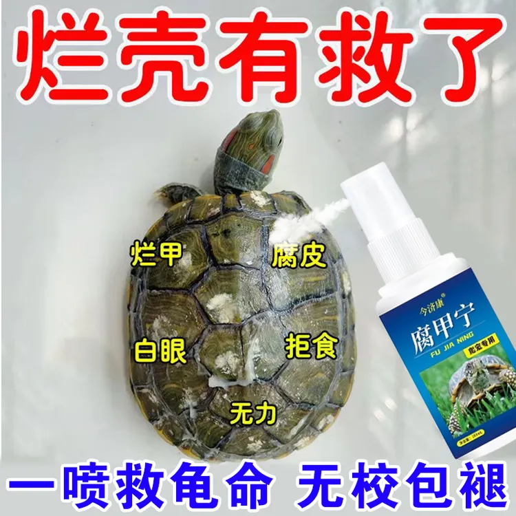 乌龟壳白斑龟甲白点腐甲乌龟水霉长白毛白头龟缸水质净化水族专用