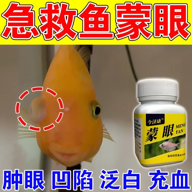 鱼用蒙眼粉锦鲤白眼肿胀充血凸眼发黄龙鱼金鱼观赏鱼水霉水族通用