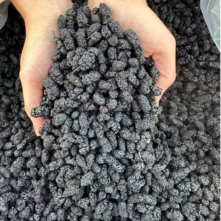 泡茶果新货黑桑葚干500g新疆吐鲁番特产桑椹干净无沙泡茶泡酒泡醋