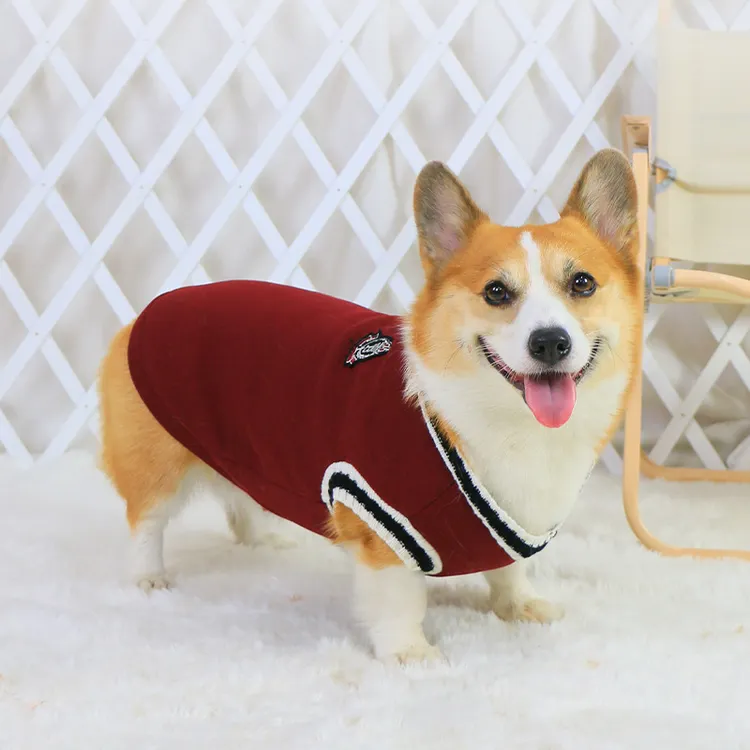 宠物狗狗衣服秋冬款针织保暖冬装可爱柯基泰迪小型犬醒狮狗狗衣服