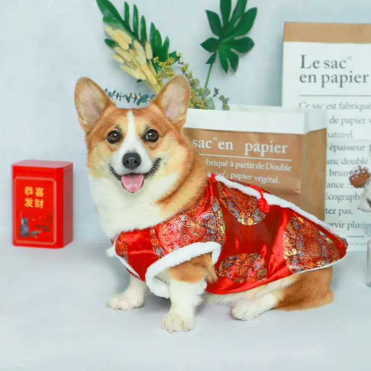 宠物狗狗衣服新年过年喜庆唐装秋冬柯基冬装保暖加厚小型犬中型犬