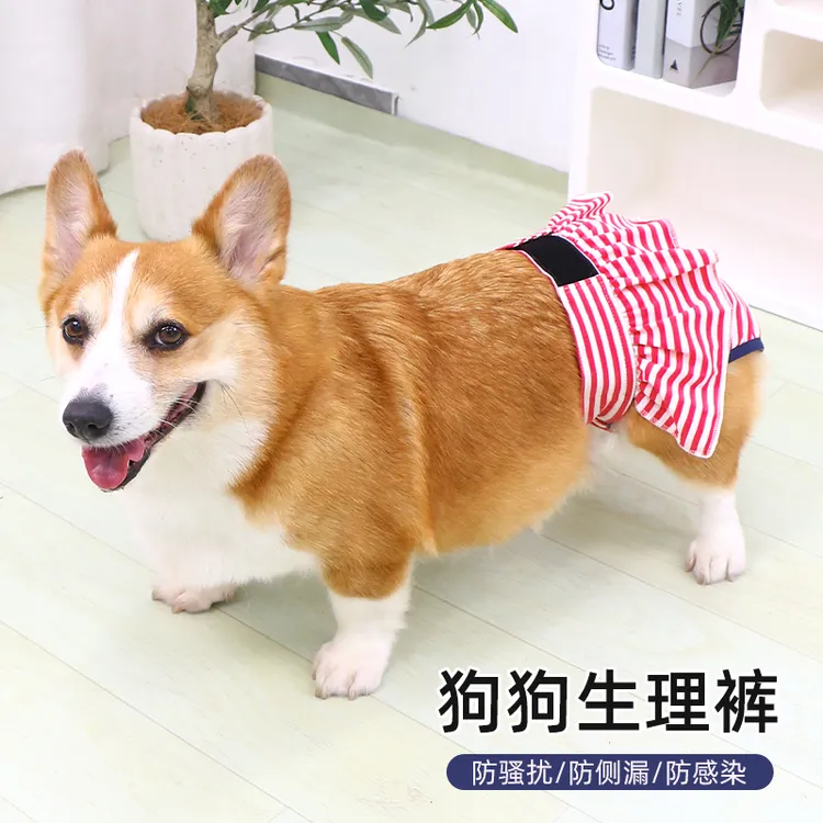 狗狗生理裤姨妈裤母狗专用防交配月经裤调节大姨妈女狗生理期护垫