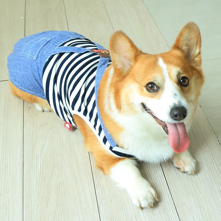 狗狗衣服加绒春秋款幼犬宠物秋冬可爱防掉毛中型犬小型犬柯基泰迪