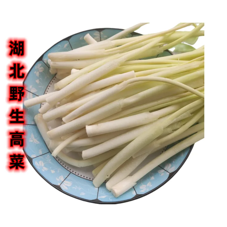 湖北洪湖蒿菜心野生水长高菜高草野茭白食用新鲜野菜蔬菜地区特产