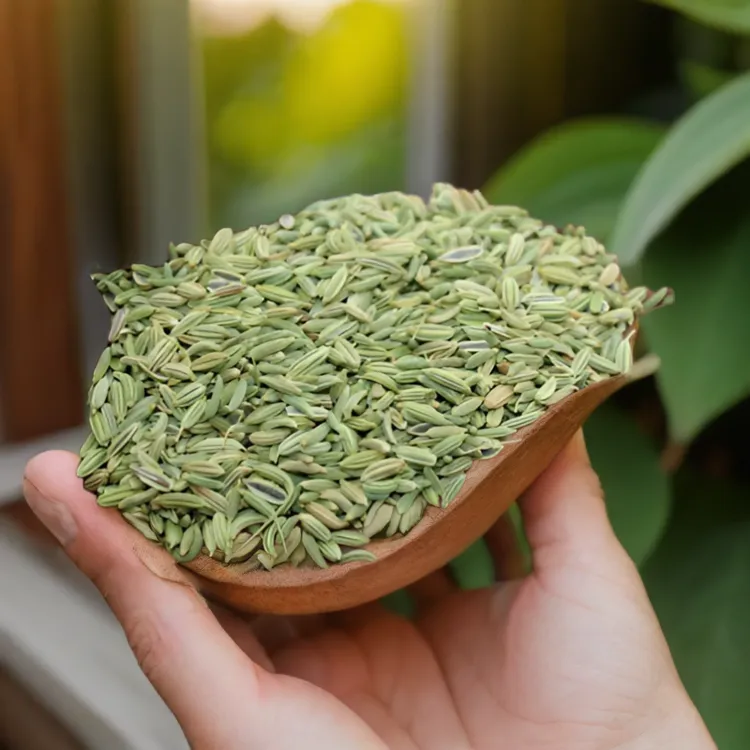 甘肃特产小茴香农家天然净含量天然营养干净香味浓郁新鲜食用调料