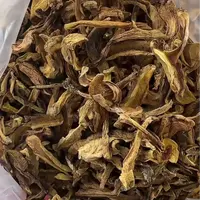 【野生黄牛肝菌】    