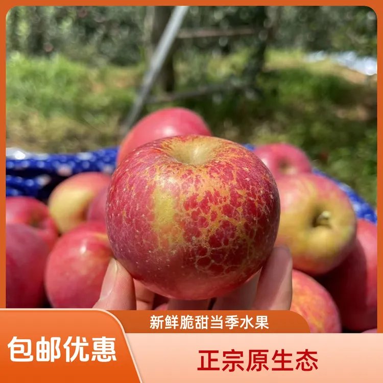 正宗原生态昭通早熟红露冰糖心脆甜多汁新鲜脆甜当季水果5/斤包邮