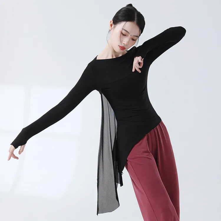 现代舞蹈服练功服女夏季新款身韵中袖长袖套指飘纱修身上衣形体服