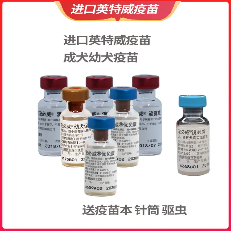 进口英特威四联疫苗二联狂犬育苗狗狗宠物幼犬成犬预防犬瘟细小