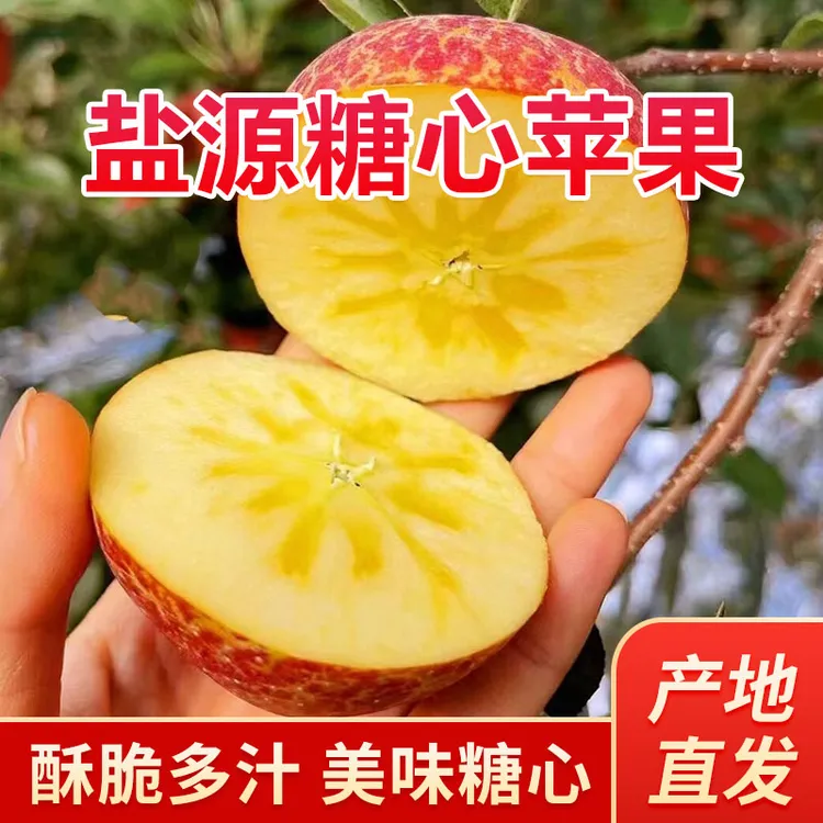 大凉山盐源冰糖心苹果（试吃装）果农发货
