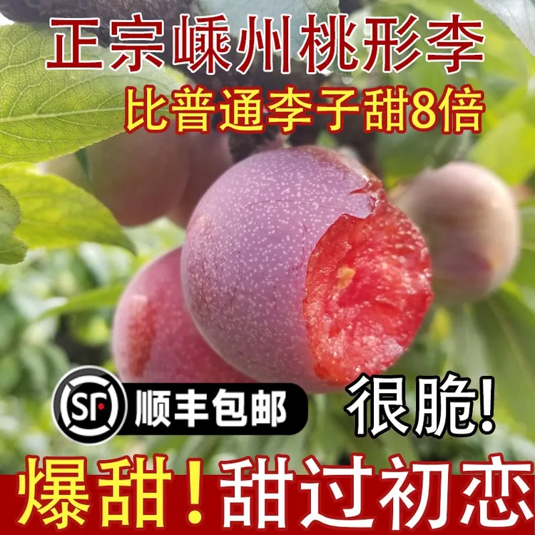 [特级]浙江嵊州桃形李新鲜现摘脆甜可口特产红心李4.5斤青脆李子