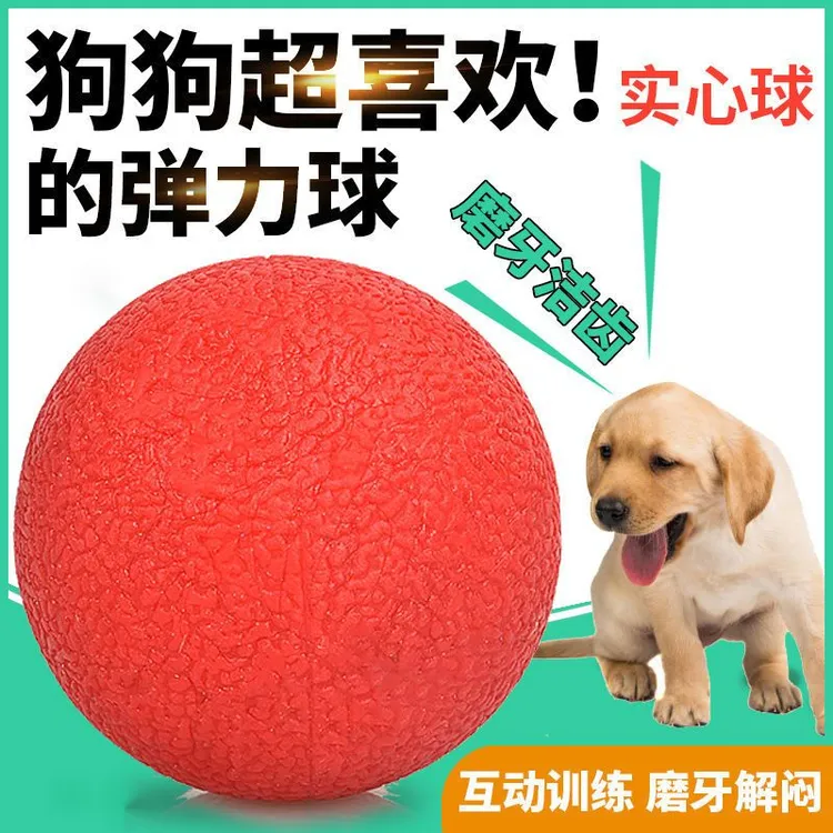 狗狗玩具球红色实心球宠物训练磨牙玩具泰迪金毛训犬玩具中大型犬