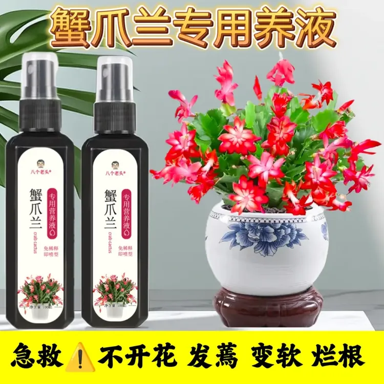 蟹爪兰专用免稀释营养液植物型叶面一喷绿催箭促花绿叶壮根营养液
