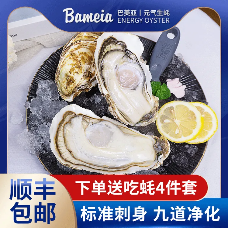 Bameia秋冬季大连.九道净化精品生吃级生蚝.全规格.12粒1500G起
