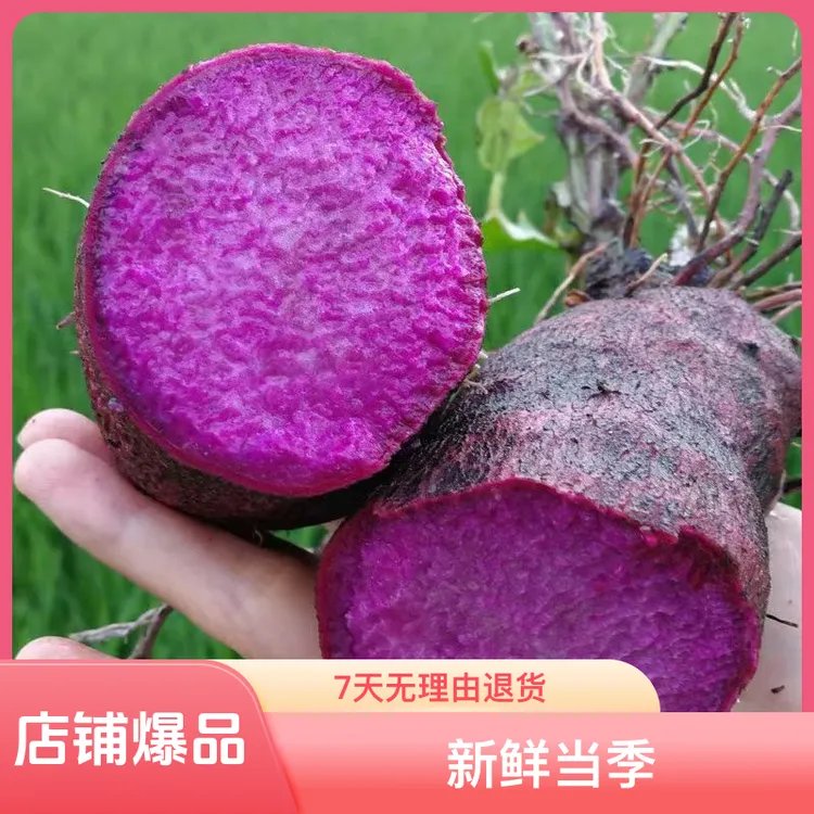 江西赣州安远赣南紫山药紫薯紫心脚板薯毛薯紫山药紫薯新鲜当季