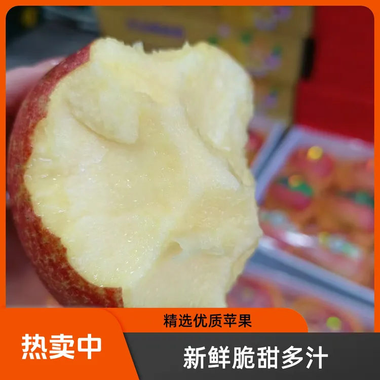 爱妃苹果新鲜采摘
