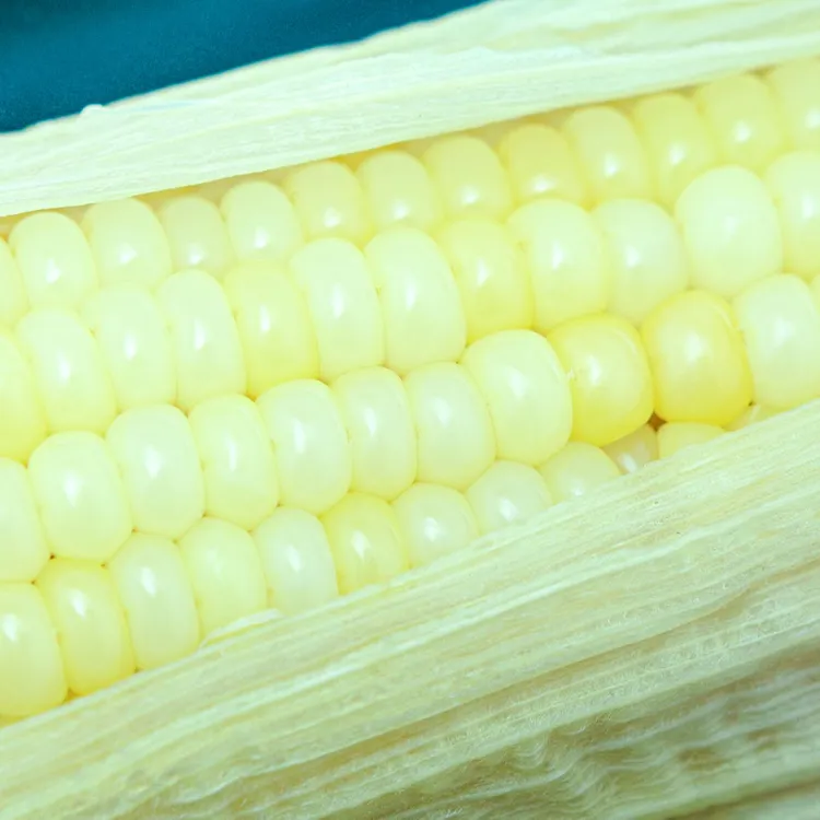 宁夏俊林哥优品庆一绿农带皮香甜糯真空甜糯玉米2800克【8棒】