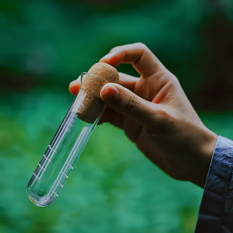 【泡茶器】喇叭口玻璃试管