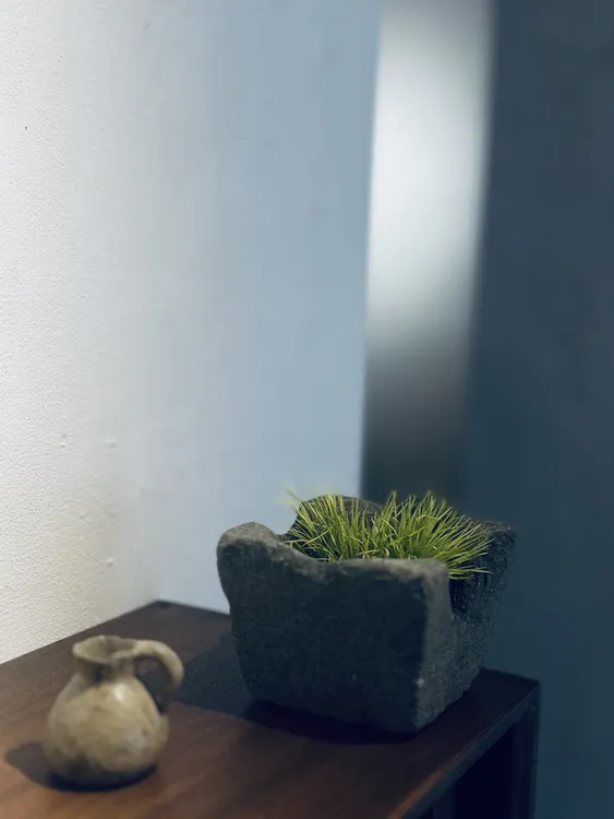 菖蒲黄金姬配清代四方老青石臼，盆养5年 尺寸高10cm，盆直径13cm